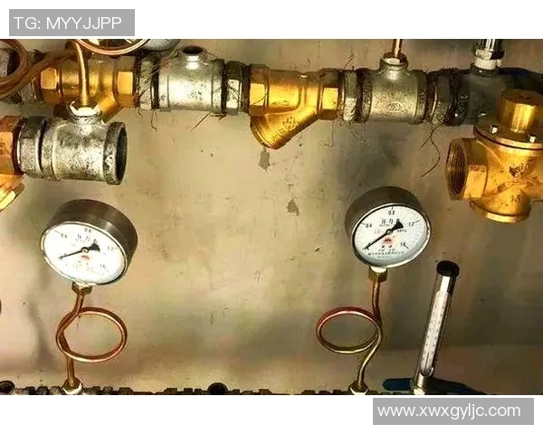 水管阀门在家庭管道系统中的关键作用与常见故障排除方法解析